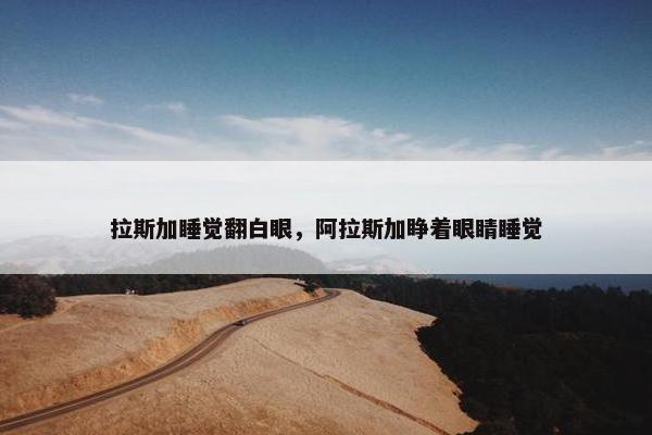 拉斯加睡觉翻白眼，阿拉斯加睁着眼睛睡觉