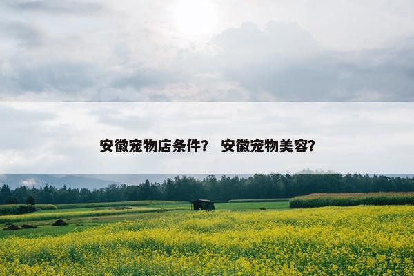 安徽宠物店条件？ 安徽宠物美容？