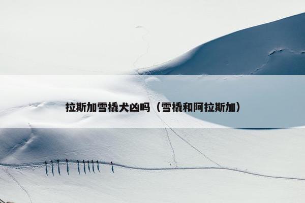 拉斯加雪橇犬凶吗（雪橇和阿拉斯加）