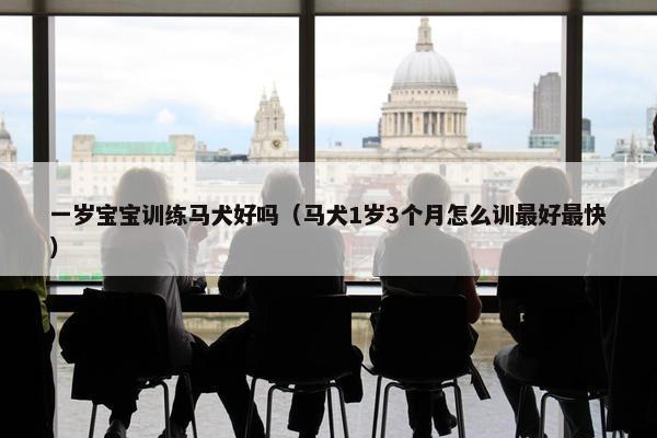 一岁宝宝训练马犬好吗（马犬1岁3个月怎么训最好最快）