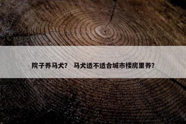 院子养马犬？ 马犬适不适合城市楼房里养？