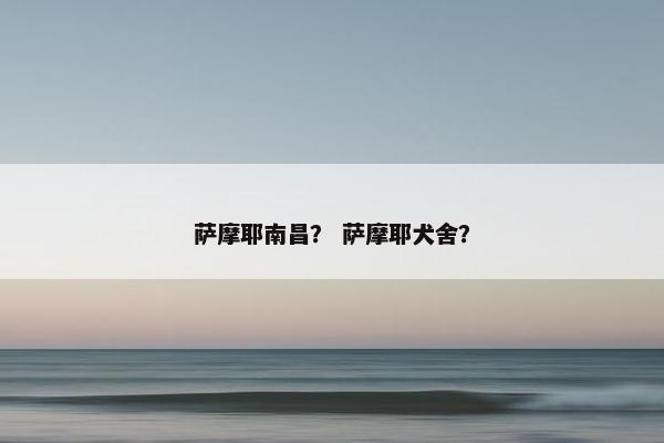 萨摩耶南昌？ 萨摩耶犬舍？