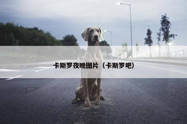 卡斯罗夜晚图片（卡斯罗吧）