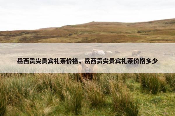 岳西贡尖贵宾礼茶价格，岳西贡尖贵宾礼茶价格多少