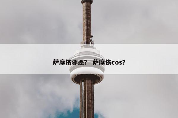 萨摩依邪恶？ 萨摩依cos？