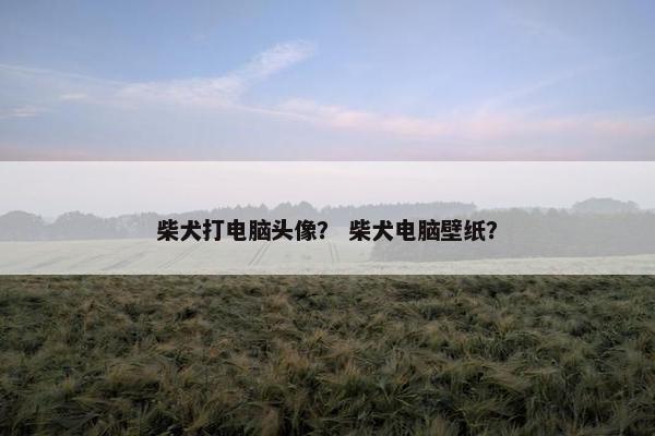 柴犬打电脑头像? 柴犬电脑壁纸? 柴犬打电脑头像? 柴犬电脑壁纸?