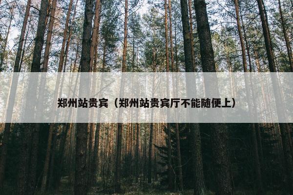郑州站贵宾（郑州站贵宾厅不能随便上）