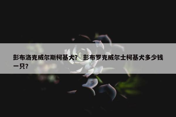 彭布洛克威尔斯柯基犬？ 彭布罗克威尔士柯基犬多少钱一只？