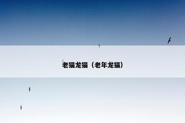 老猫龙猫（老年龙猫）