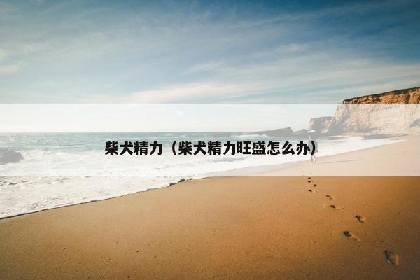 柴犬精力（柴犬精力旺盛怎么办）