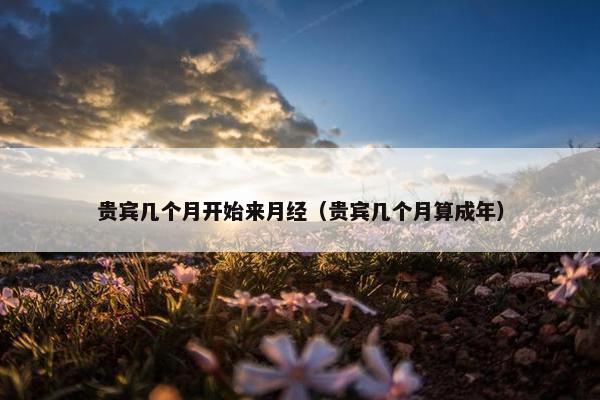 贵宾几个月开始来月经（贵宾几个月算成年）