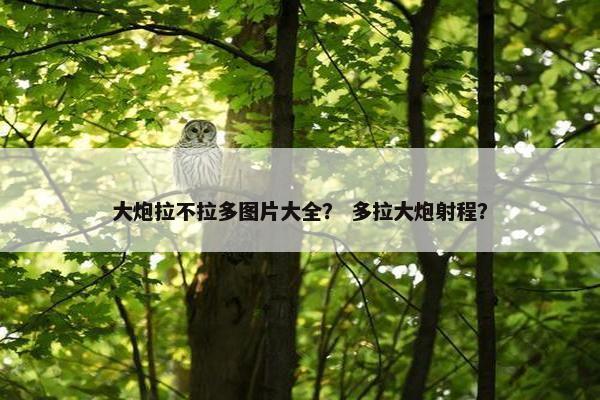 大炮拉不拉多图片大全？ 多拉大炮射程？
