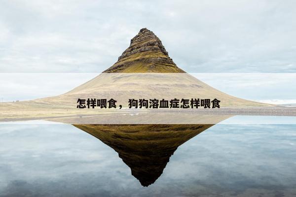 怎样喂食，狗狗溶血症怎样喂食