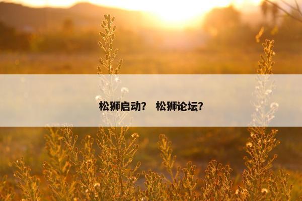 松狮启动？ 松狮论坛？