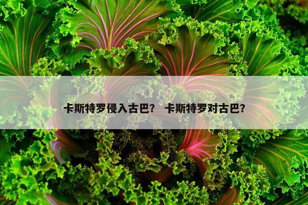 卡斯特罗侵入古巴？ 卡斯特罗对古巴？