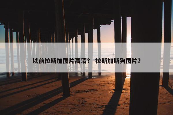 以前拉斯加图片高清？ 拉斯加斯狗图片？