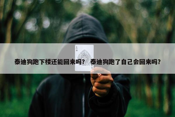 泰迪狗跑下楼还能回来吗？ 泰迪狗跑了自己会回来吗？
