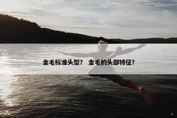 金毛标准头型？ 金毛的头部特征？