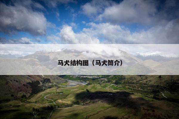 马犬结构图（马犬筒介）