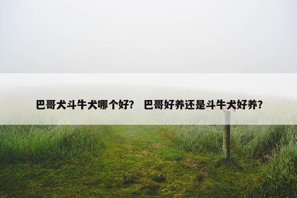 巴哥犬斗牛犬哪个好？ 巴哥好养还是斗牛犬好养？