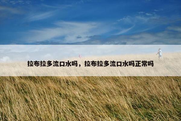 拉布拉多流口水吗，拉布拉多流口水吗正常吗