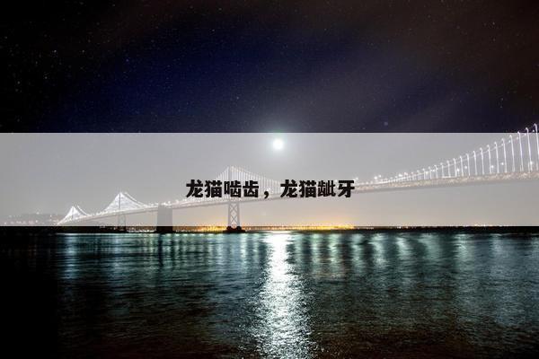 龙猫啮齿，龙猫龇牙