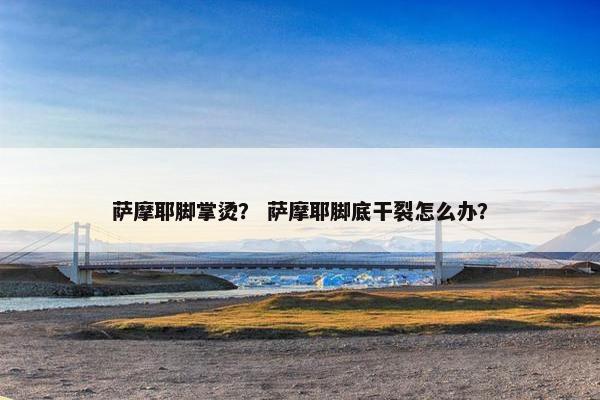 萨摩耶脚掌烫？ 萨摩耶脚底干裂怎么办？