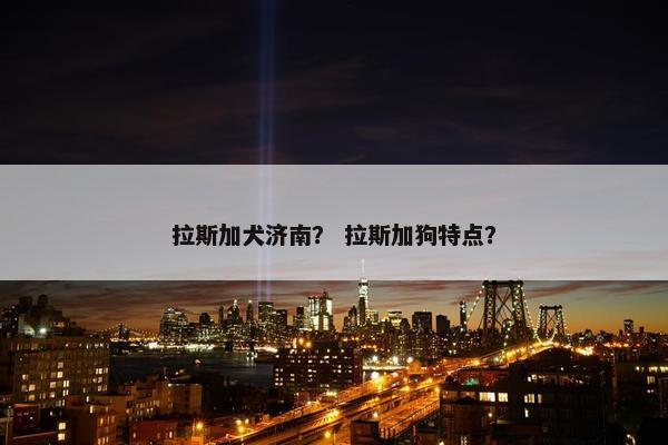 拉斯加犬济南？ 拉斯加狗特点？