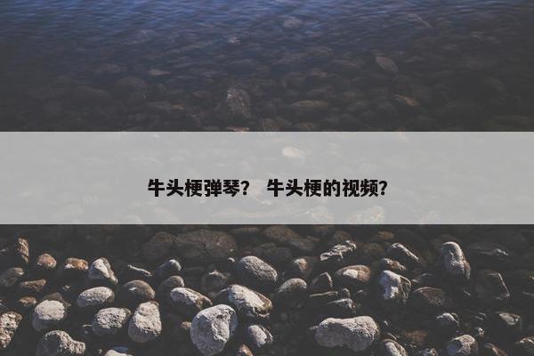 牛头梗弹琴？ 牛头梗的视频？