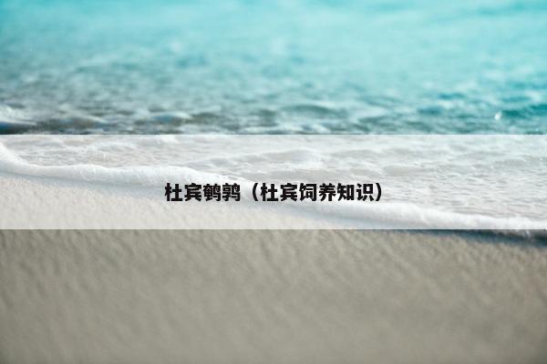 杜宾鹌鹑（杜宾饲养知识）