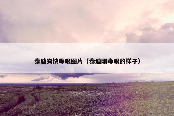 泰迪狗快睁眼图片（泰迪刚睁眼的样子）