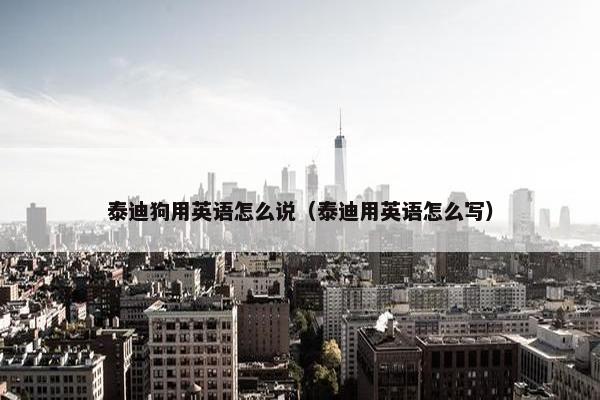 泰迪狗用英语怎么说（泰迪用英语怎么写）