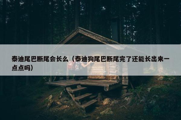 泰迪尾巴断尾会长么（泰迪狗尾巴断尾完了还能长出来一点点吗）