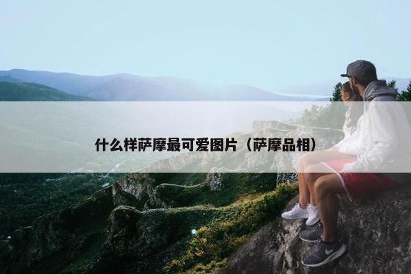 什么样萨摩最可爱图片（萨摩品相）