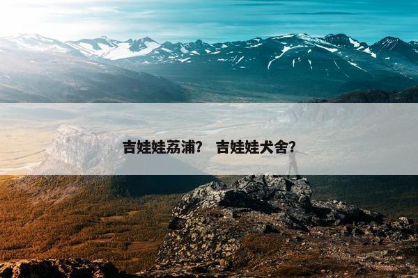 吉娃娃荔浦？ 吉娃娃犬舍？