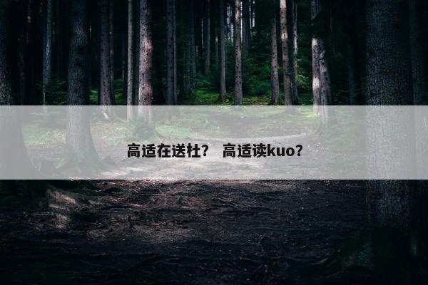 高适在送杜？ 高适读kuo？