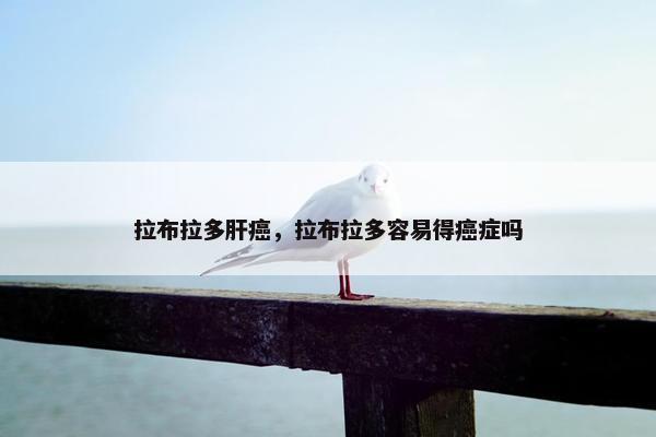 拉布拉多肝癌，拉布拉多容易得癌症吗