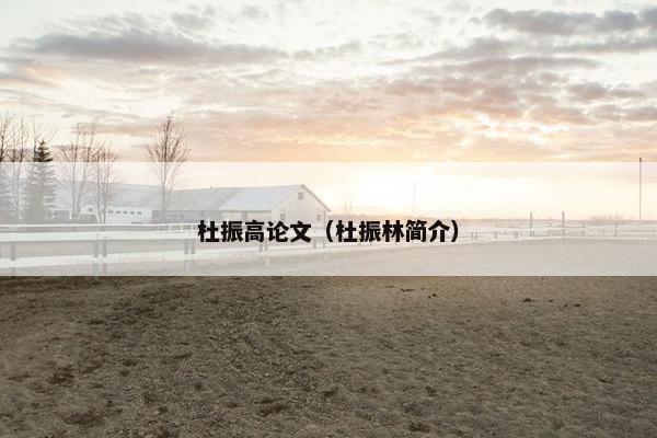 杜振高论文（杜振林简介）