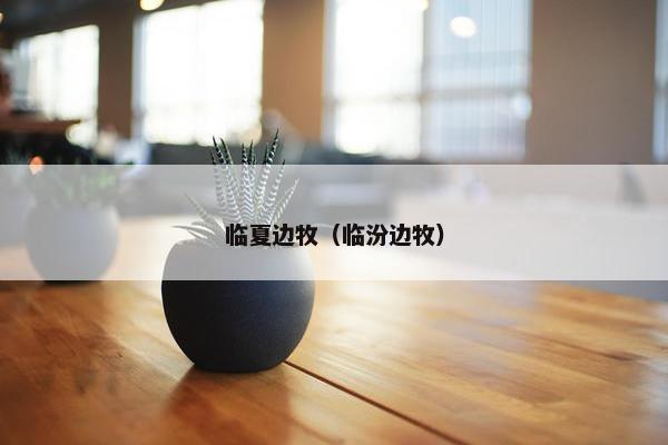 临夏边牧（临汾边牧）