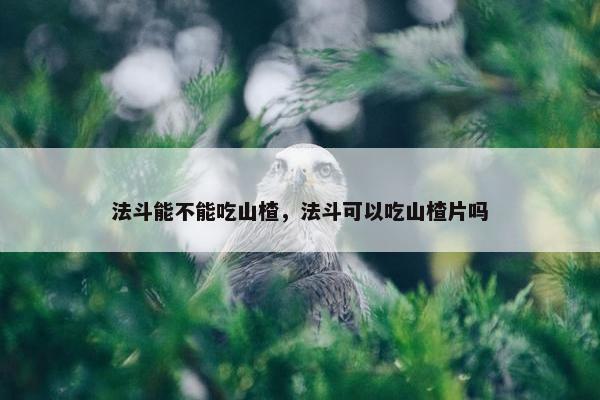 法斗能不能吃山楂，法斗可以吃山楂片吗