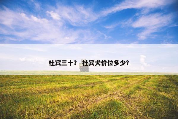 杜宾三十？ 杜宾犬价位多少？