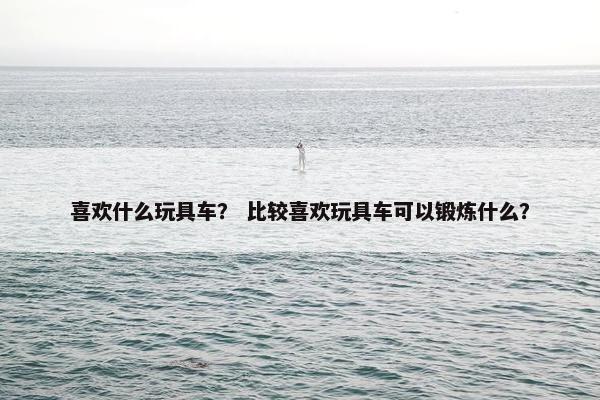 喜欢什么玩具车？ 比较喜欢玩具车可以锻炼什么？