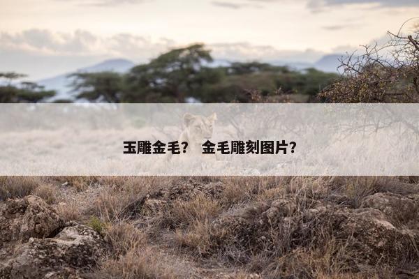 玉雕金毛？ 金毛雕刻图片？