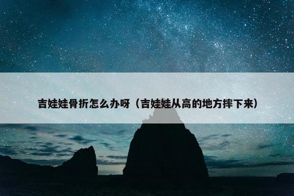 吉娃娃骨折怎么办呀（吉娃娃从高的地方摔下来）