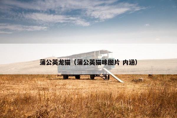 蒲公英龙猫（蒲公英猫咪图片 内涵）