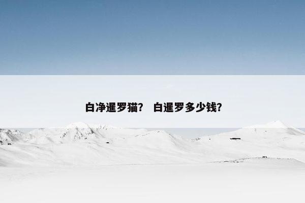 白净暹罗猫？ 白暹罗多少钱？