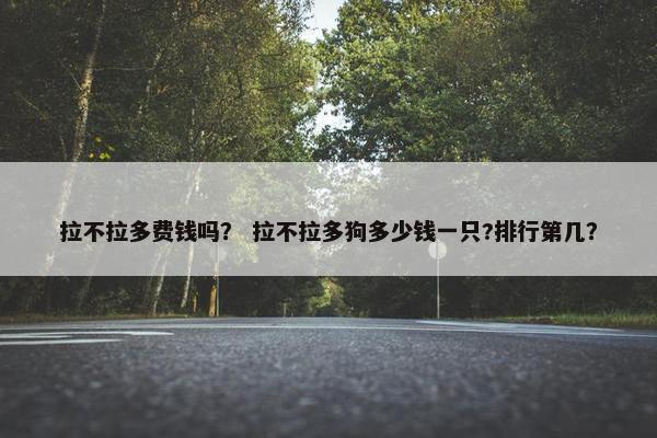 拉不拉多费钱吗？ 拉不拉多狗多少钱一只?排行第几？