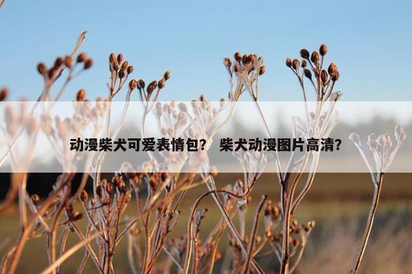 动漫柴犬可爱表情包？ 柴犬动漫图片高清？