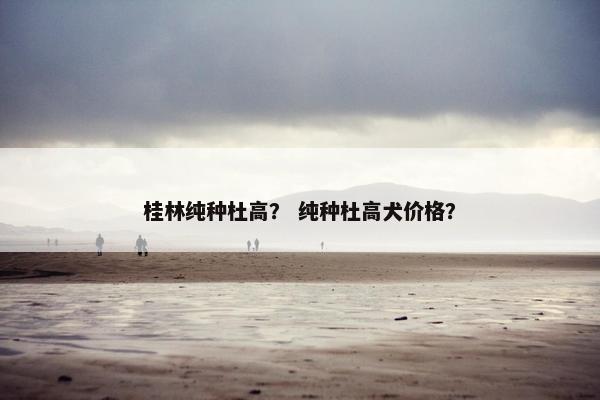 桂林纯种杜高？ 纯种杜高犬价格？