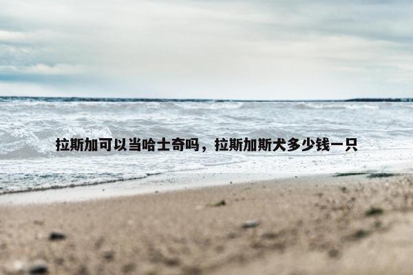 拉斯加可以当哈士奇吗，拉斯加斯犬多少钱一只